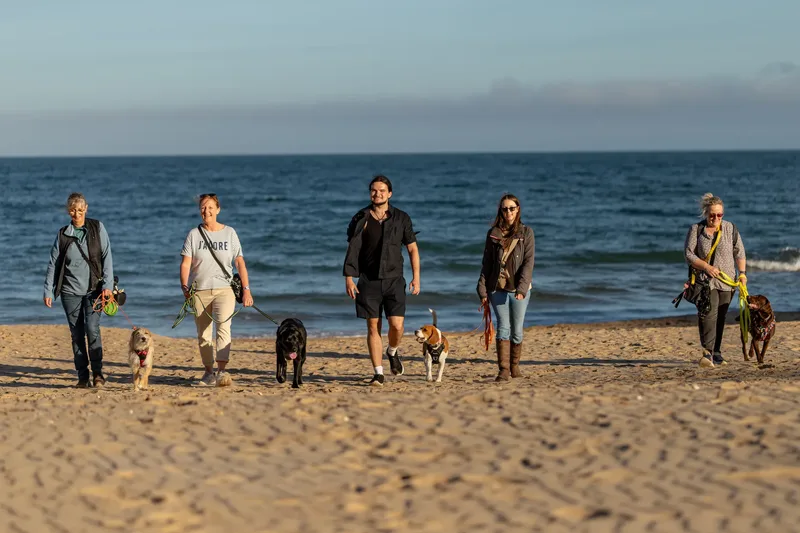 Dorset Dog Trainer – Branksome Chine (50 of 52)