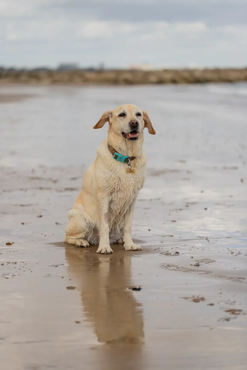 Mollie & Lola (27 of 32)