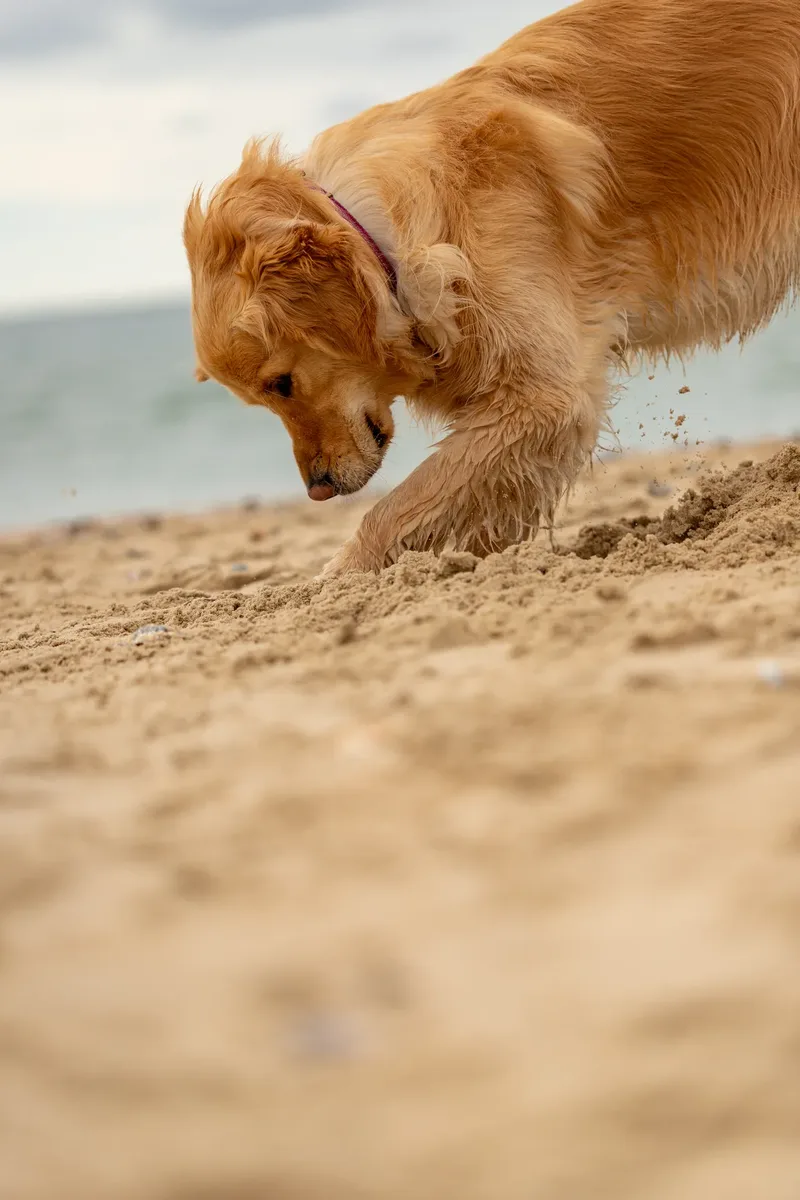 Spring Beach Mini Sessions (96 of 105)