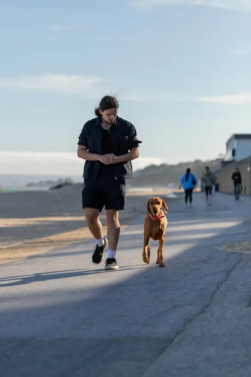 Dorset Dog Trainer – Branksome Chine (17 of 52)