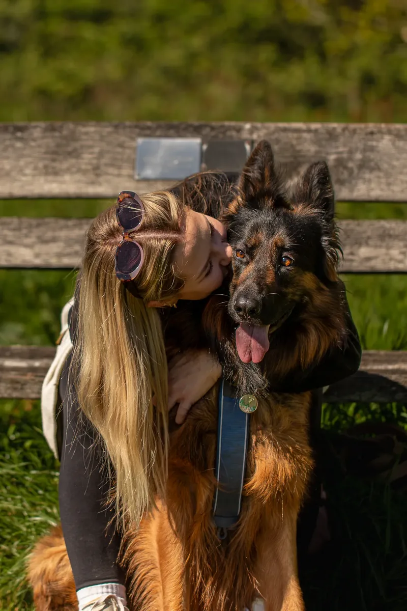 Tora the german shepherd (8 of 28)
