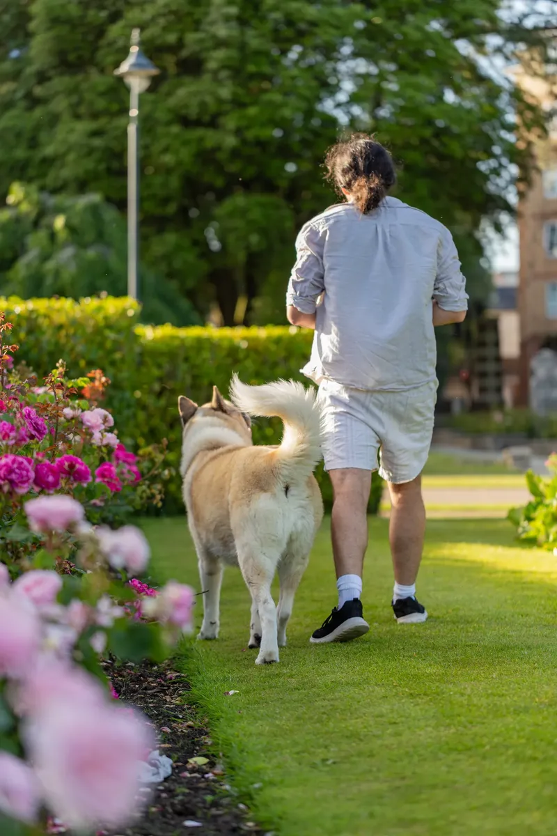 Dorset Dog Trainer – Poole Park (25 of 59)