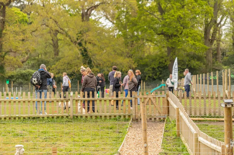 Muttley’s Doggy Day Care – Open Day Fun! 🐾 (23 of 24)