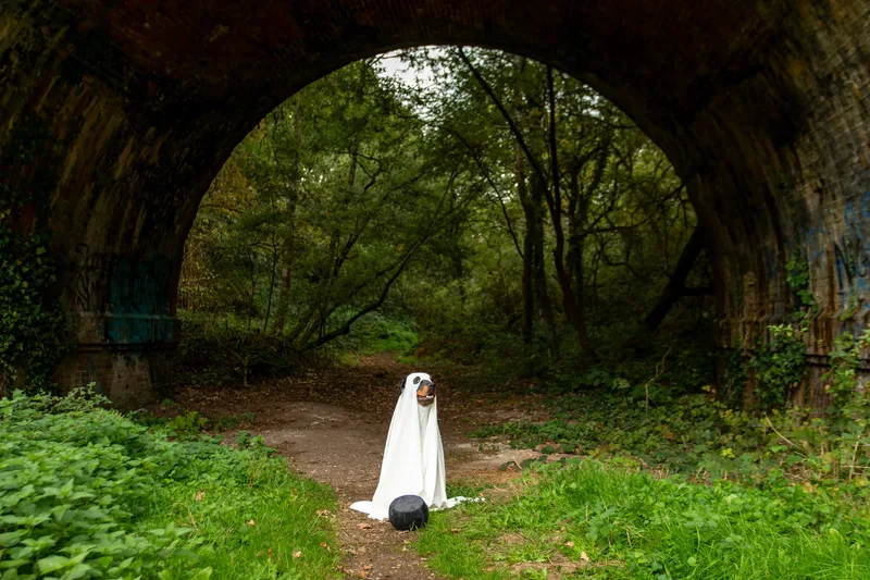 Karma the Rottie’s Halloween Shoot in Corfe Mullen (22 of 24)