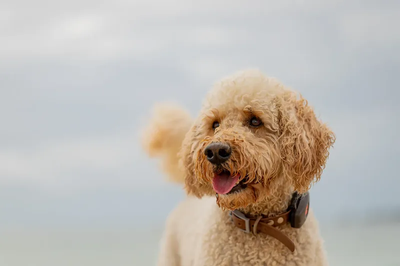 Spring Beach Mini Sessions (28 of 105)