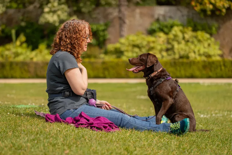 The Dorset Dog Trainer (11 of 42)