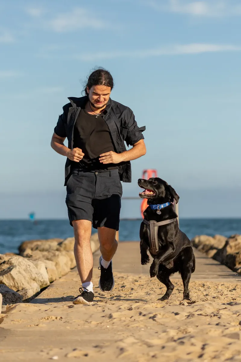 Dorset Dog Trainer – Branksome Chine (35 of 52)