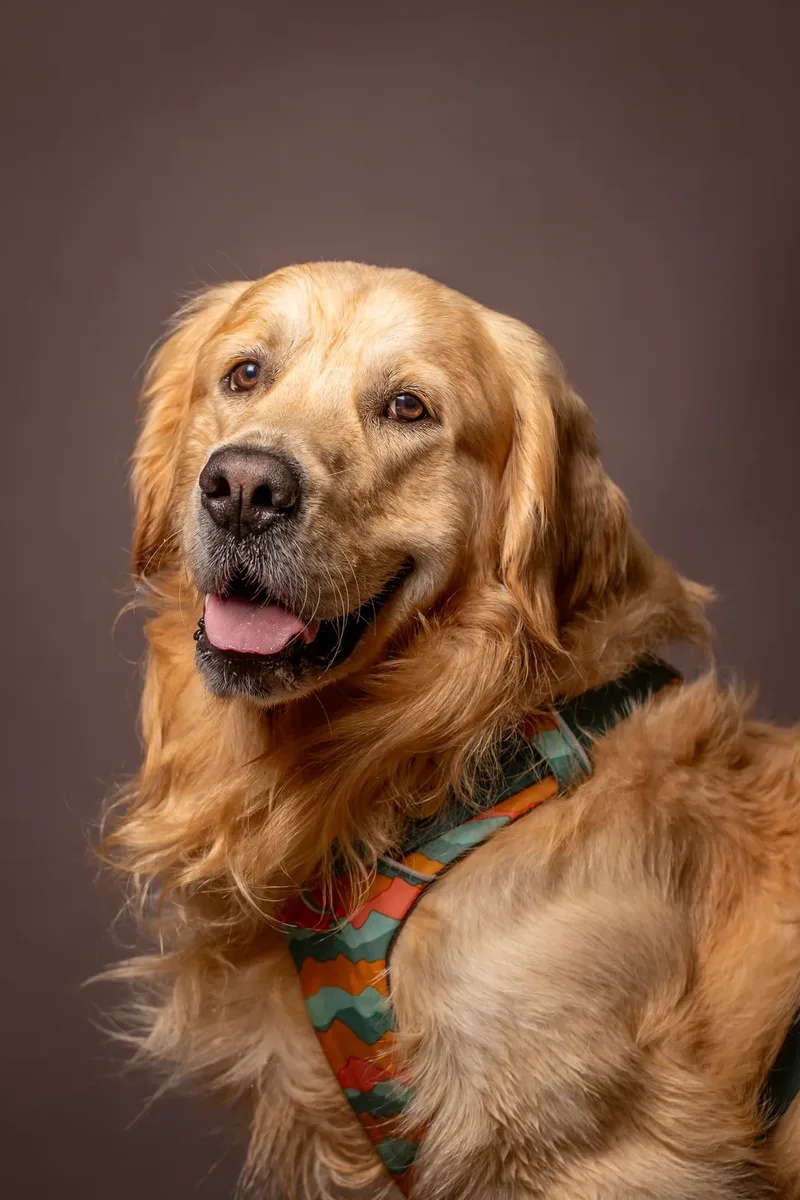 Bark 2 School 2025 (18 of 24)
