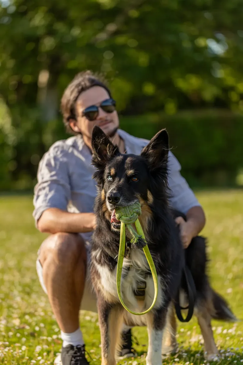 Dorset Dog Trainer – Poole Park (8 of 59)