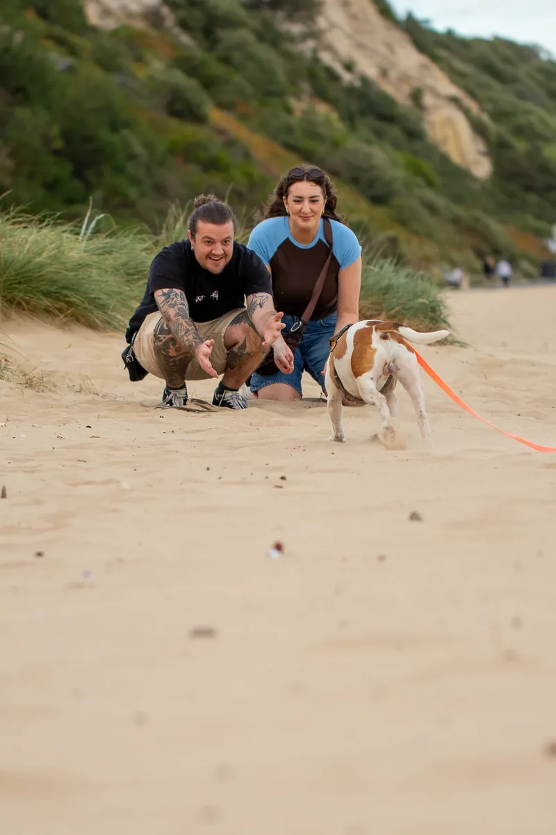 Dickie the Staffy (15 of 43)
