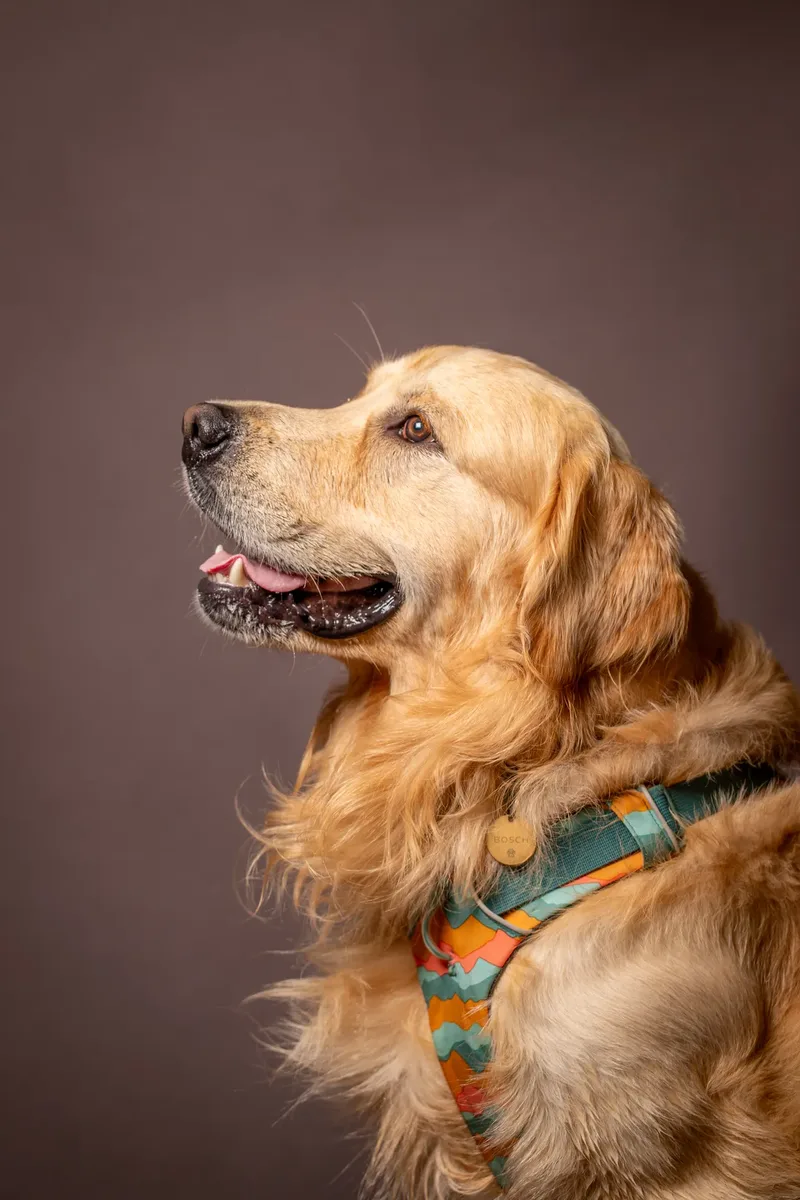 Bark 2 School 2025 (19 of 24)