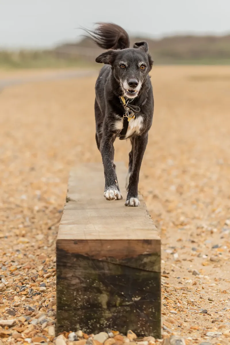 Olive (43 of 43)