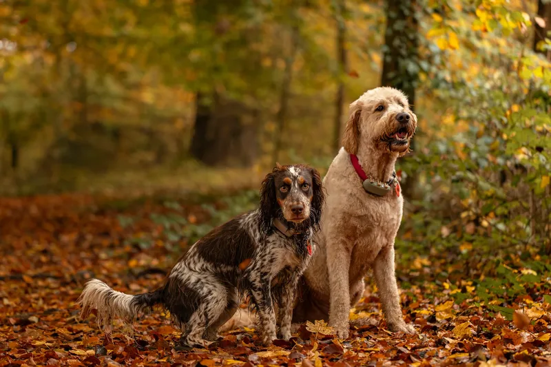 Dudley & Neville (22 of 24)