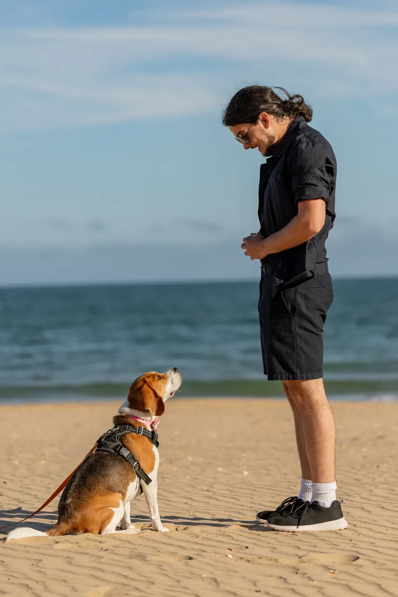 Dorset Dog Trainer – Branksome Chine (1 of 52)