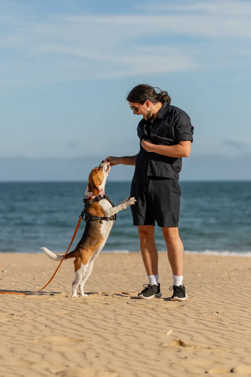 Dorset Dog Trainer – Branksome Chine (3 of 52)