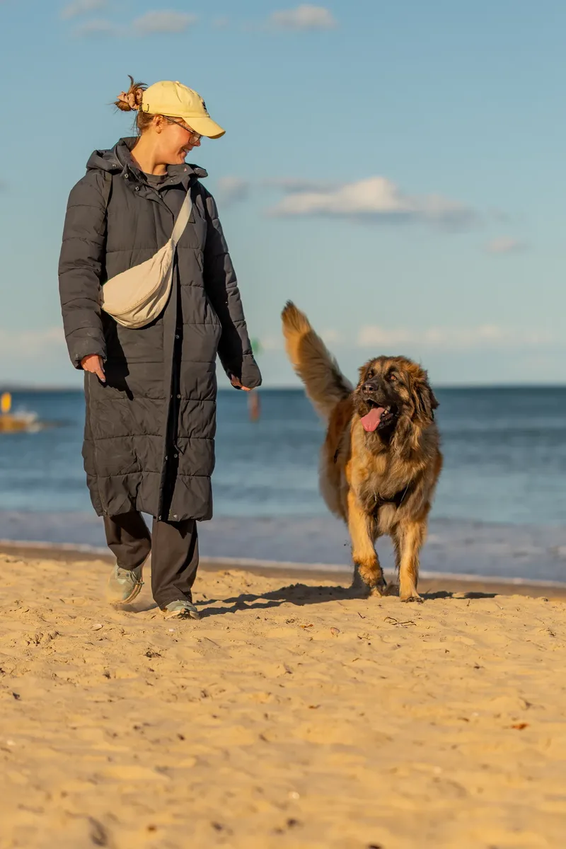 Leonberger Meet Up (2 of 47)