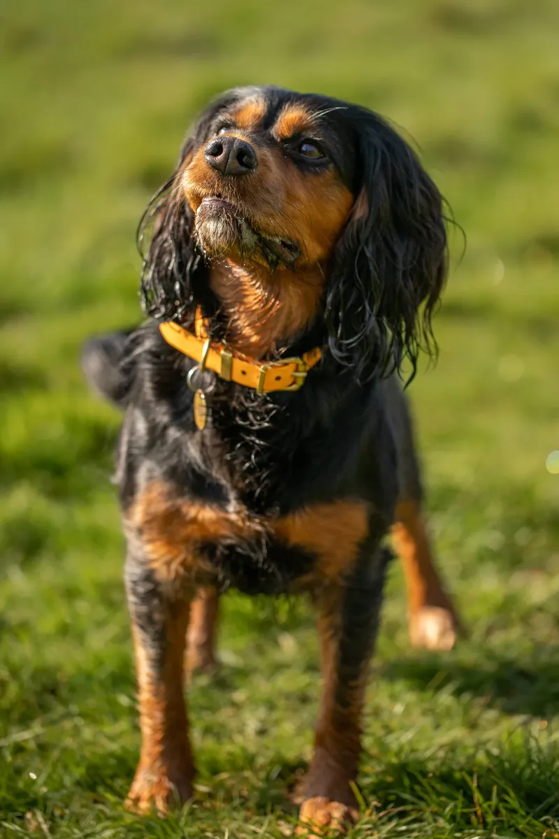 Maya (16 of 29)