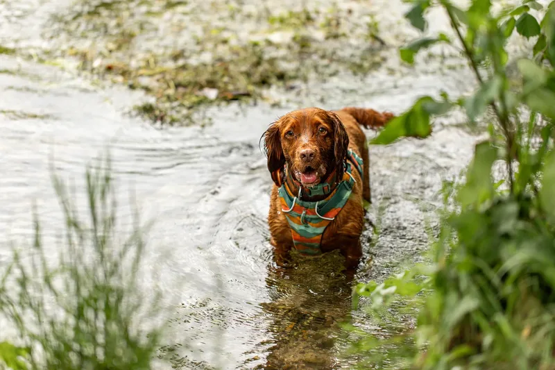Ralph & Monty (24 of 24)