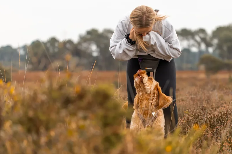 An Autumn Afternoon with Toby at Canford Heath (14 of 24)