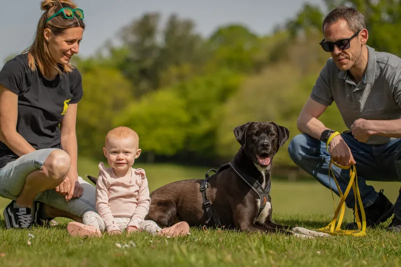 The Dorset Dog Trainer (34 of 42)