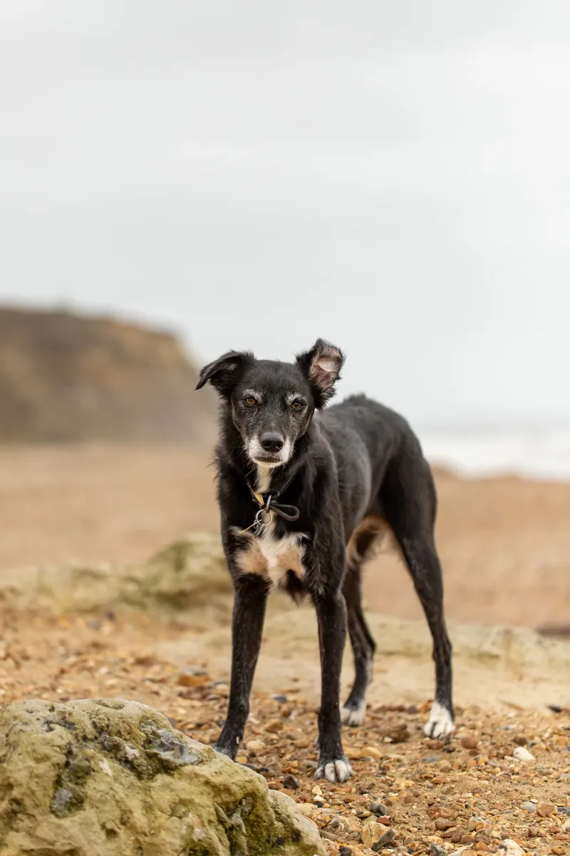 Olive (29 of 43)