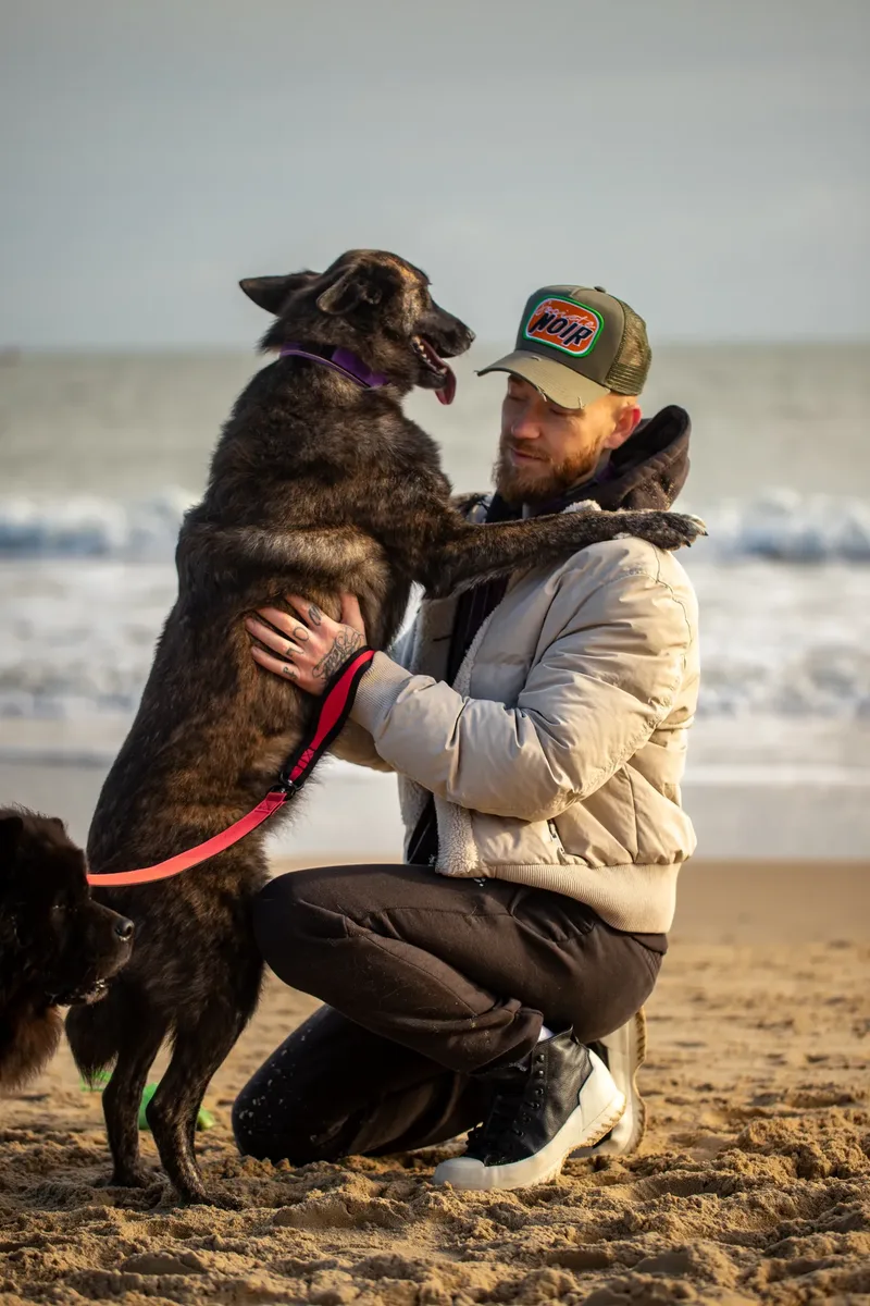 Baloo and Estia on the beach (8 of 22)