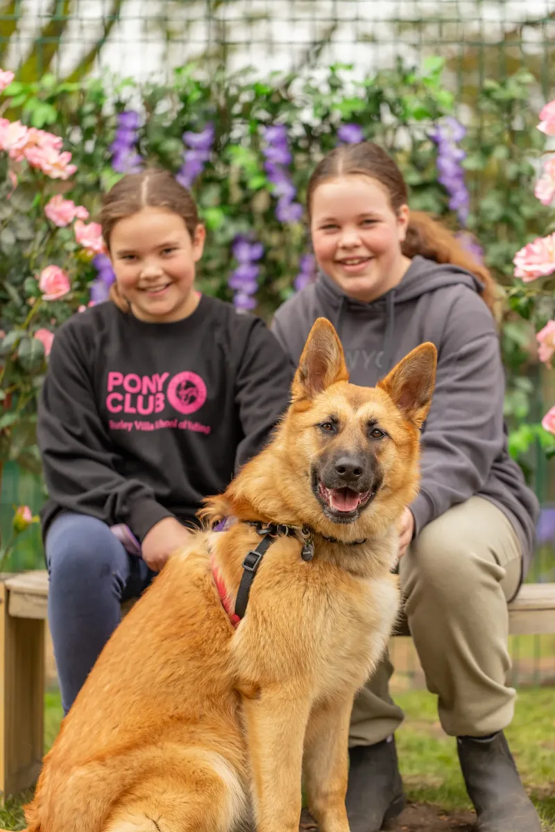 Muttley’s Doggy Day Care – Open Day Fun! 🐾 (14 of 24)