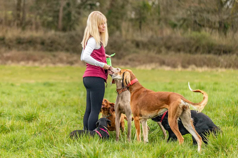 Wimborne Walkies (23 of 24)