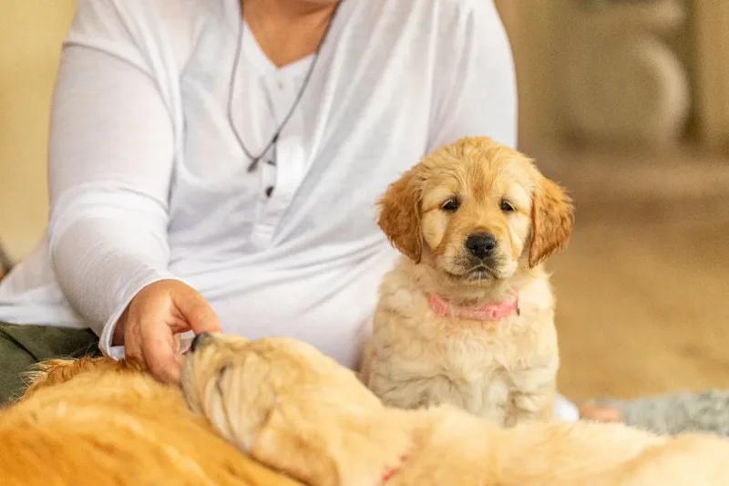 Marlee and her puppies! (6 of 24)