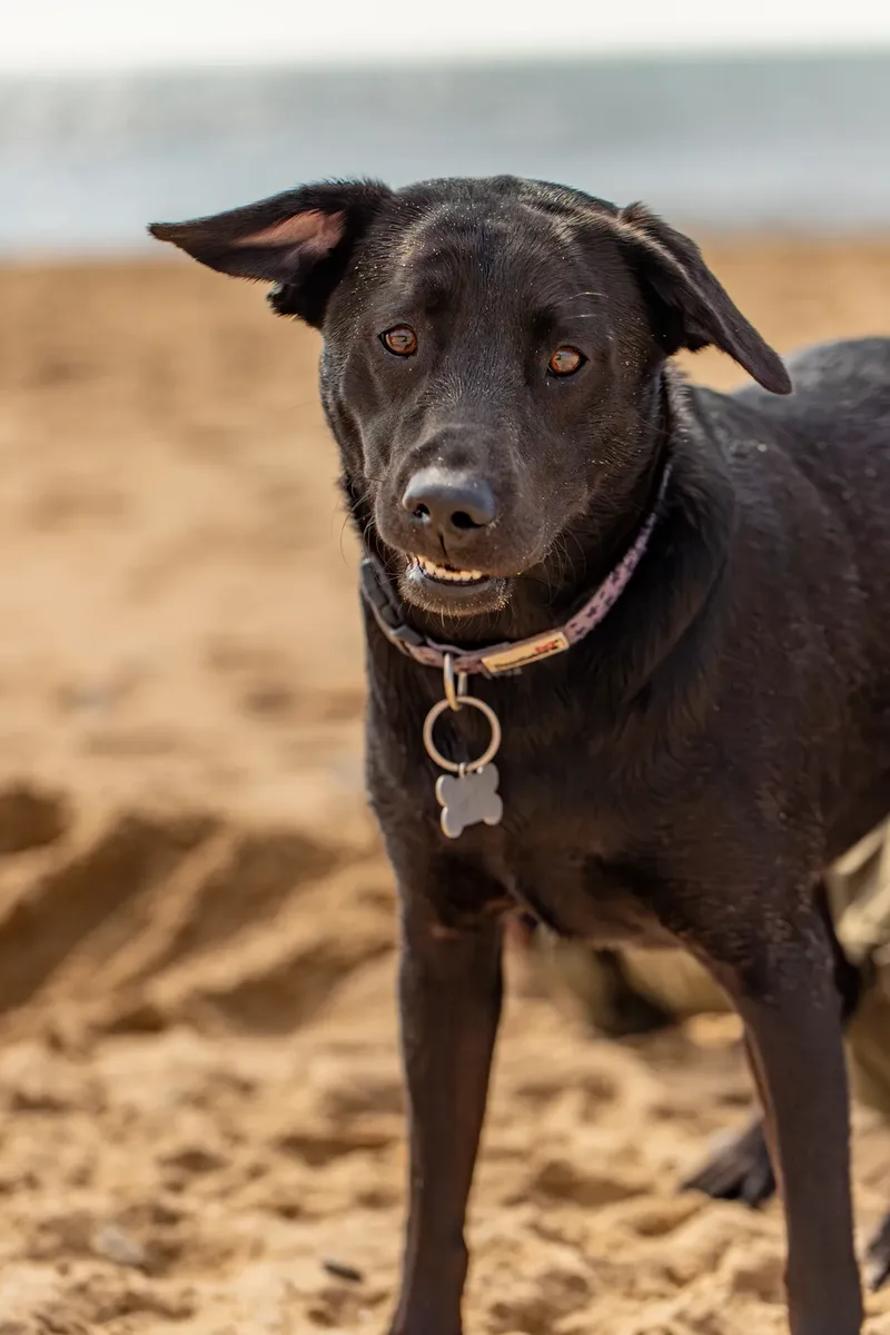 George & Luna (11 of 24)