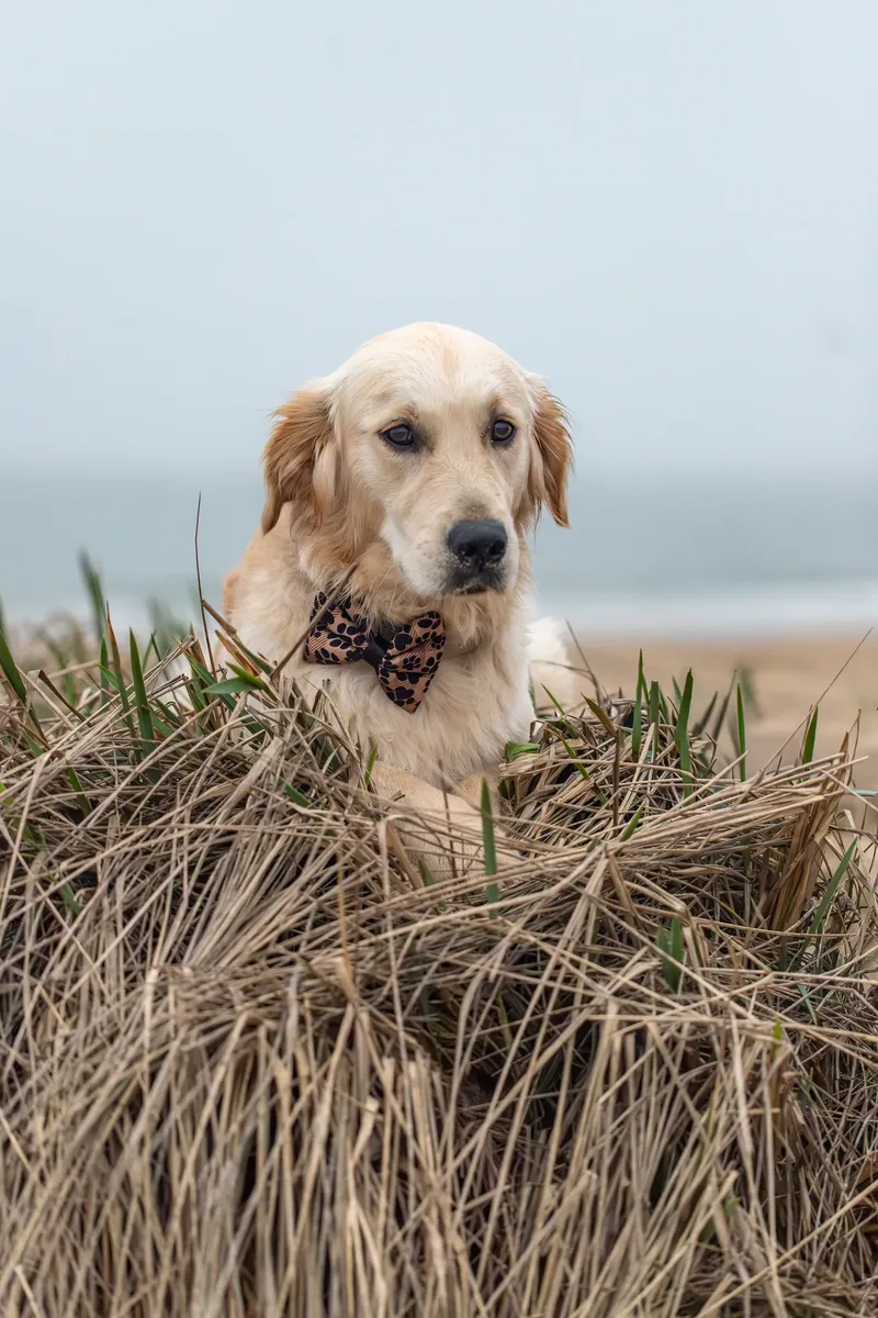 London Boy Teddy (33 of 42)