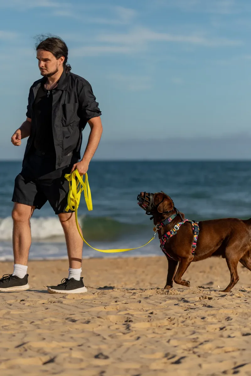 Dorset Dog Trainer – Branksome Chine (26 of 52)