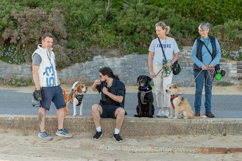 Dorset Dog Trainer – Branksome Chine (49 of 52)