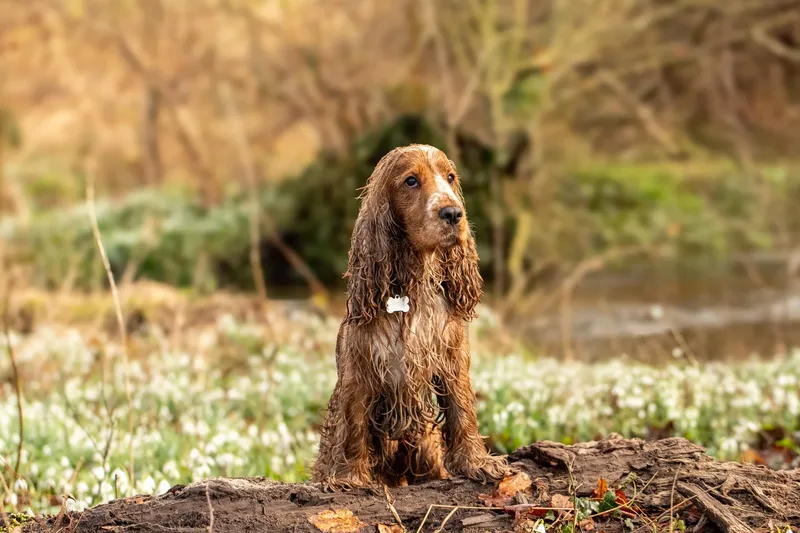 Max, Alfie & Friends (17 of 22)