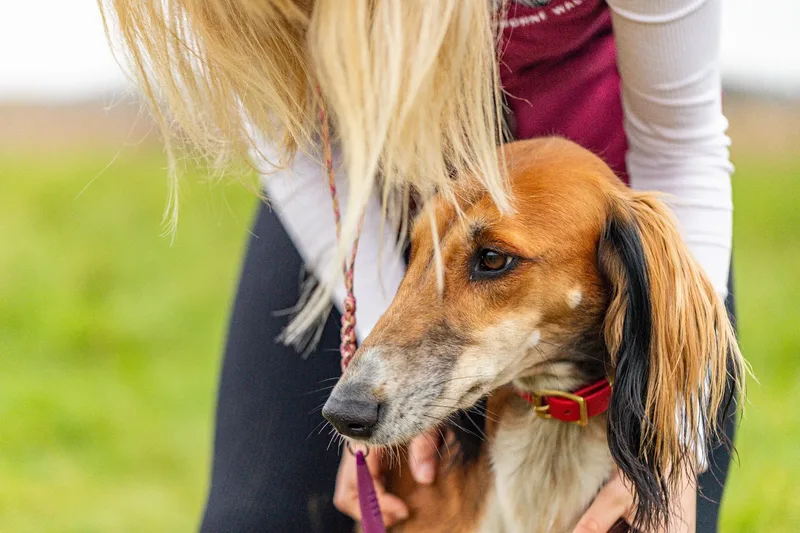 Wimborne Walkies (20 of 24)
