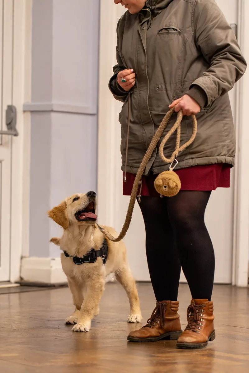 Kirsty’s Paws (10 of 44)